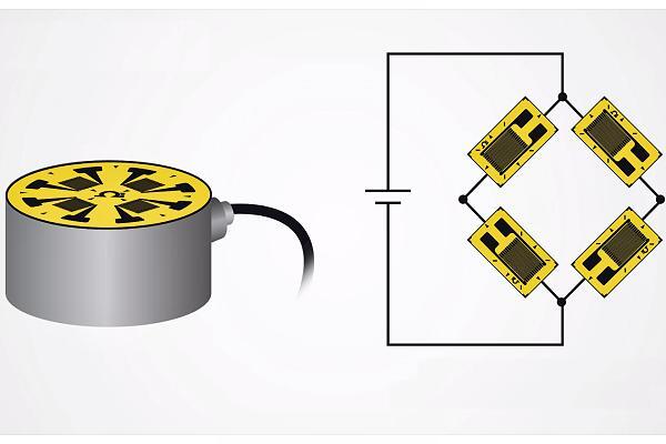 應(yīng)變片稱重傳感器組成圖